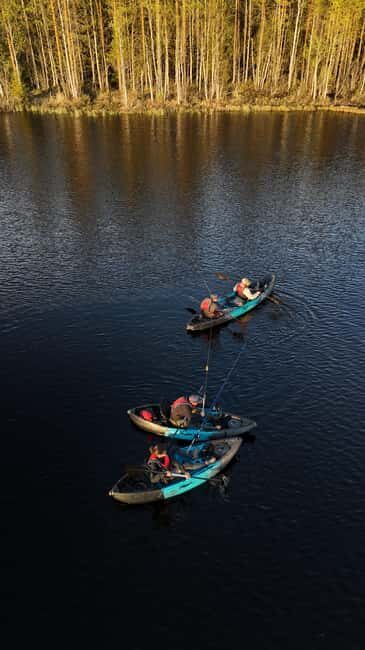 Överkalix, Lapland: Full-Day Kayak Tour and Outdoor Lunch - The Natural Beauty of Lapland from the Water