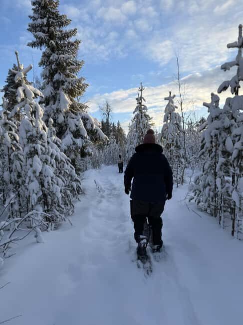 Överkalix - Lapland : Full-Day Snowshoe Tour with Lunch - Key Points