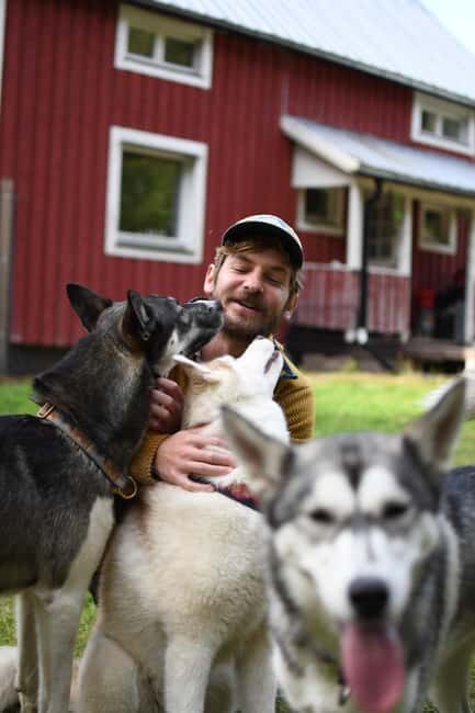 Överkalix - Lapland : Husky Cuddle and Fika Experience - Practical Details & Value