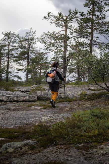 Överkalix - Lapland : Private Summer Hike with Lunch - The Outdoor Lunch Experience