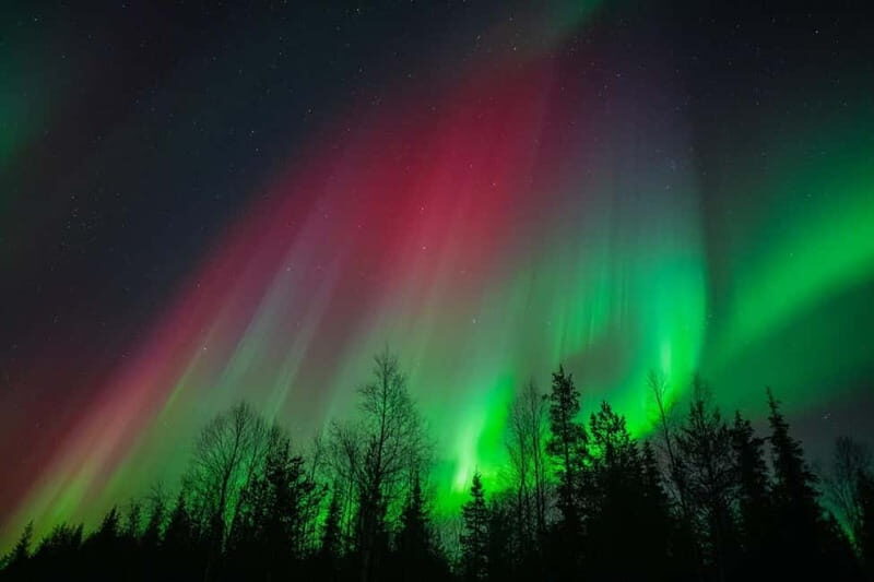 Överkalix - Lapland : Snowmobile Tour with Northern Lights - What You Should Know Before Booking