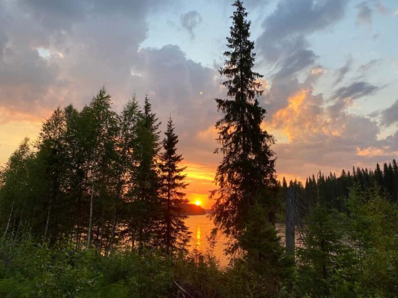 Överkalix - Lapland : Summer Hike and Midnight Sun Dinner - A Glowing Review of the Överkalix Summer Hike and Midnight Sun Dinner