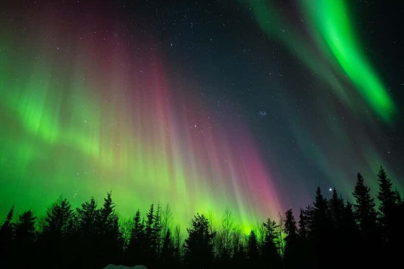 Överkalix: Snowmobile Night Tour with Northern Lights - The Experience’s Pros and Cons