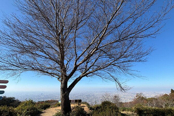 overlooking-the-magnificent-view-of-osaka