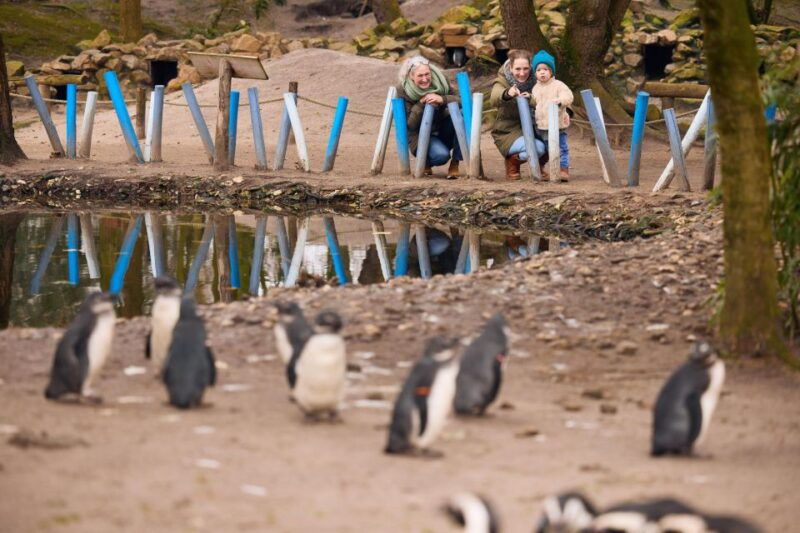 overloon-zooparc-entrance-ticket