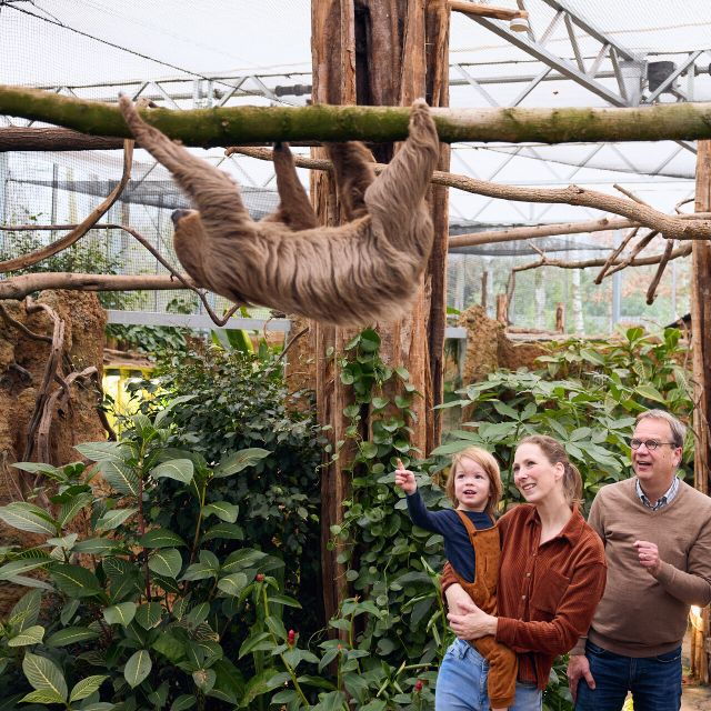 overloon-zooparc-entrance-ticket