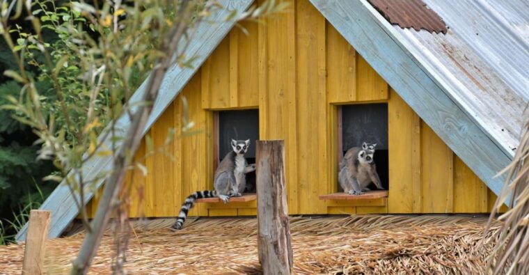 overloon-zooparc-entrance-ticket