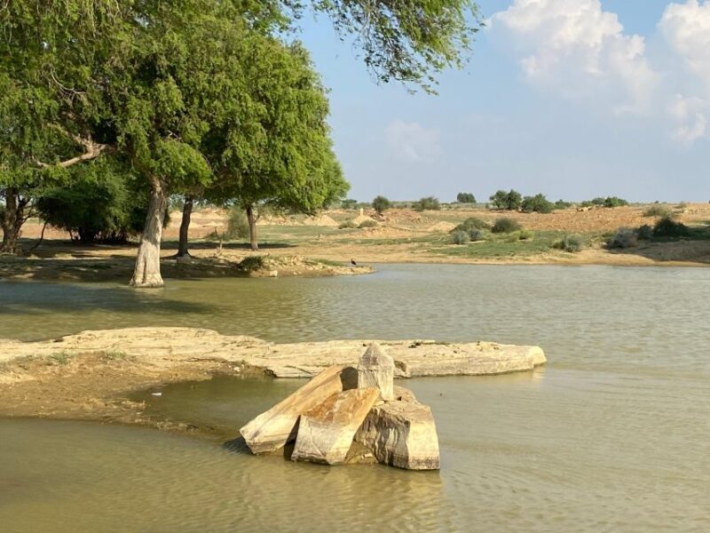 Overnight Adventure Safari by Wonbin Safari - The Sum Up