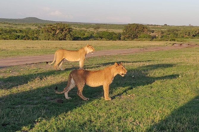 Overnight Amboseli National Park Safari from Nairobi - FAQ