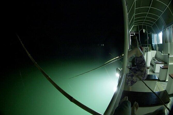 Overnight at 4 stars cruise - cheapest prices - high quality - all inclusions - Reviews from previous guests