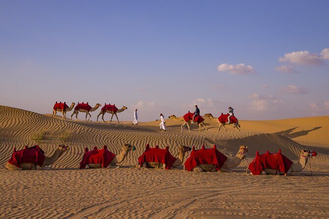 Overnight Camel Caravan with BBQ Dinner and Arabic Breakfast - Final Thoughts: Who Will Love This Tour?