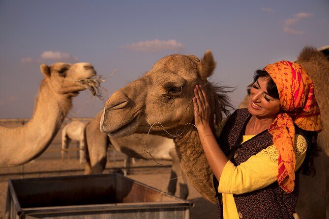 Overnight Camel Caravan with BBQ Dinner and Arabic Breakfast - FAQ