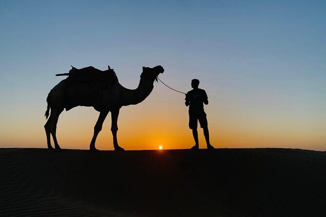 Overnight Camel Safari - Introducing the Overnight Camel Safari in Jaisalmer