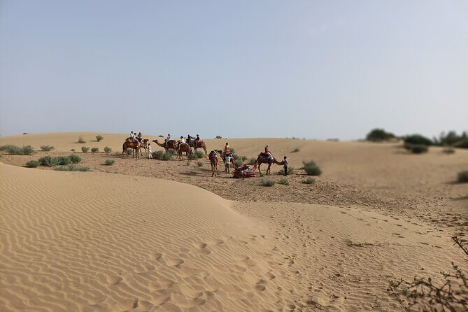 Overnight Camel Safari - What the Tour Includes and How It Works