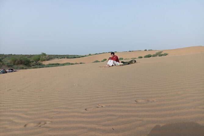 Overnight Camel Safari - Pricing and Value