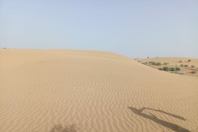 Overnight Camel Safari - Practical Tips for Future Travelers