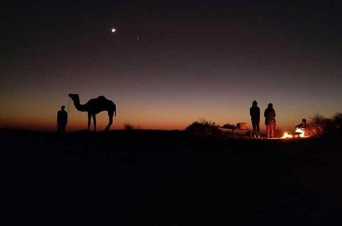 Overnight Camel Safari - Who Is This Tour Best For?