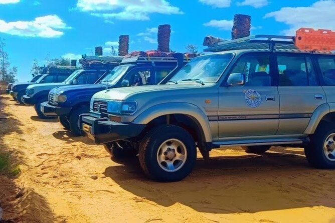 overnight-camp-bahariya-oasis-a-hidden-gem-in-the-egyptian-desert