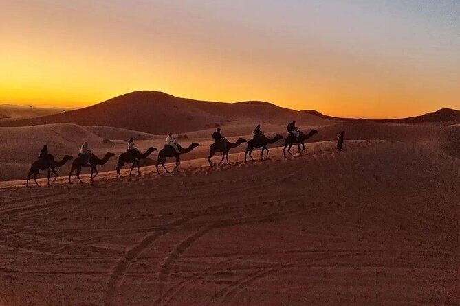 Overnight Desert Camp - The Experience: What to Expect from the Tour