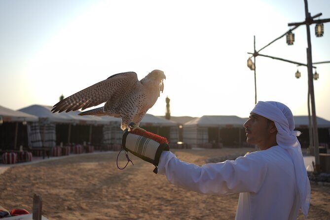 Overnight Desert Experience with safari and BBQ Dinner - A Complete Look at the Itinerary and What You Can Expect