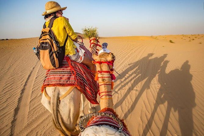 Overnight Desert Safari Dubai With Hot BBQ Dinner & Breakfast - Final Thoughts: Who Will Love This Tour?
