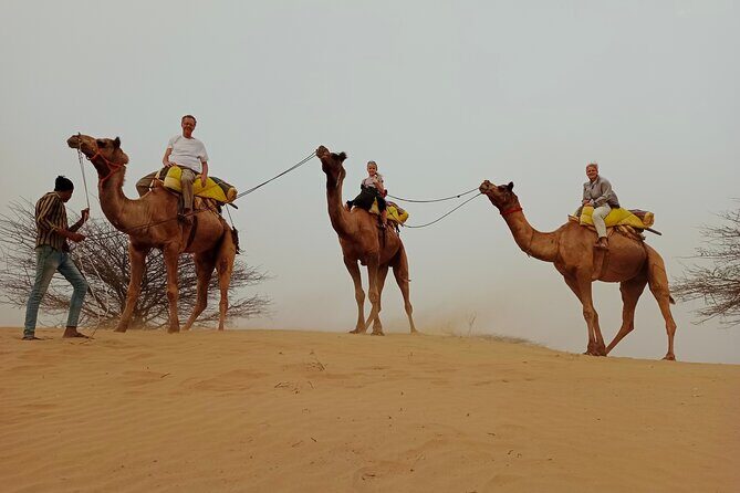 Overnight Desert Stay with Camel Safari and Homemade Food - OM - The Sum Up