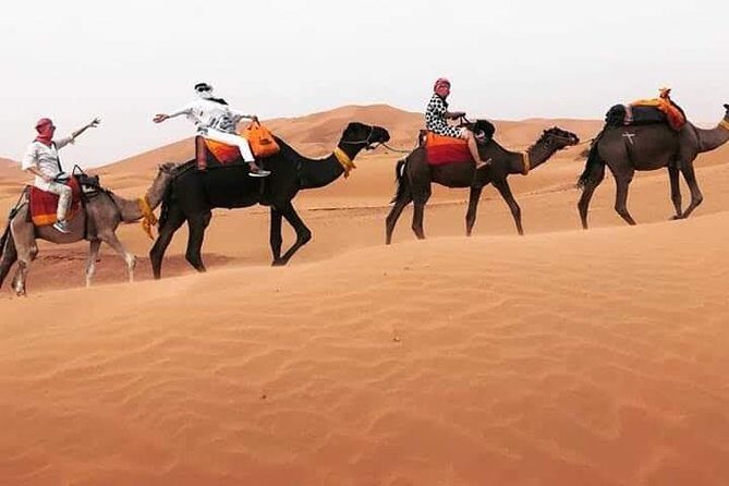 Overnight Desert Tours from Fez to Fez - An In-Depth Look at the Tour Itinerary