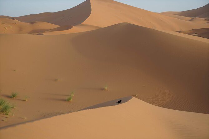 Overnight Desert Tours from Fez to Fez - The Value of This Experience
