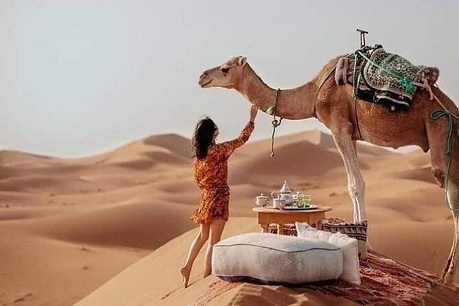 Overnight Desert Trips From Fez to Fez - Introduction: A Moroccan Desert Adventure Worth Considering