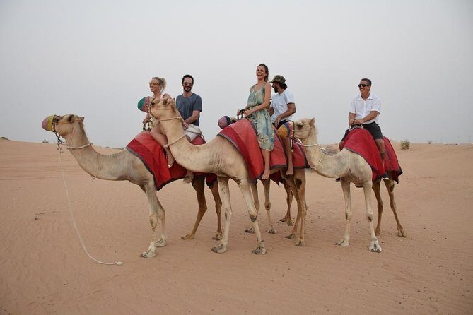 Overnight Dubai Desert Safari in igloo tent with Private 4WD - Key Points