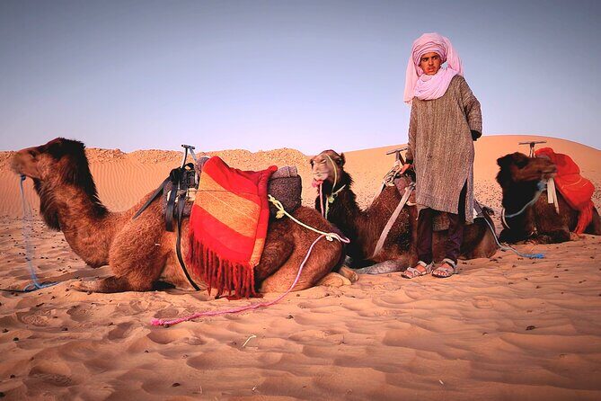 Overnight Experience from Merzouga in Dunes of Erg Chebbi - Overview of the Experience