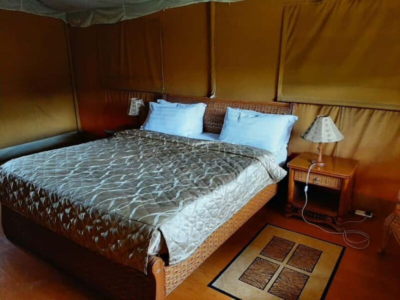 Overnight Group Joining Safari to Amboseli from Nairobi - The Experience in Detail