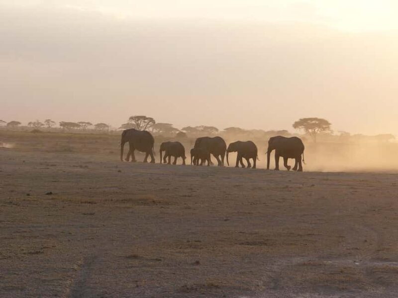 Overnight group joining Safari to Amboseli National Park - Why This Tour Offers Great Value