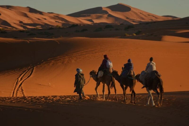 Overnight in Luxury Tent in Desert Camp Erg Chebbi Merzouga - Review Insights and Authentic Perspectives