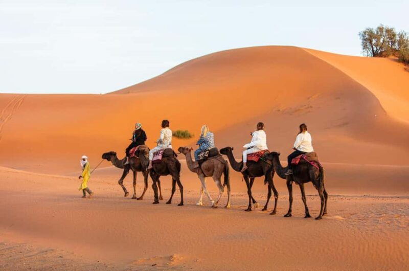 Overnight In Merzouga Desert Camp with Camel Rides and Food - Introduction: A Night in the Sahara – A Closer Look