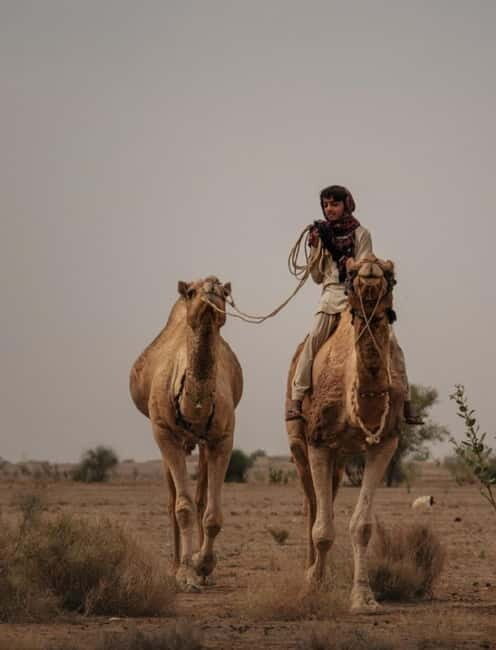 Overnight Jaisalmer Sand Dunes Experience in a Luxury Tent - Who Should Consider This Tour?