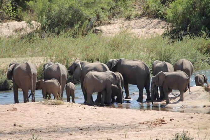 Overnight Kruger National Park Classic Camping Safari - Final Thoughts