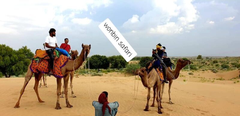 Overnight Luxury Safari by Wonbin Safari - An In-Depth Look at the Rajasthan Overnight Luxury Safari