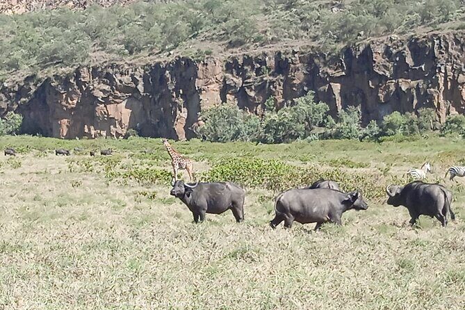 Overnight Mount Longonot and Hells Gate National Park From Nairobi - Frequently Asked Questions