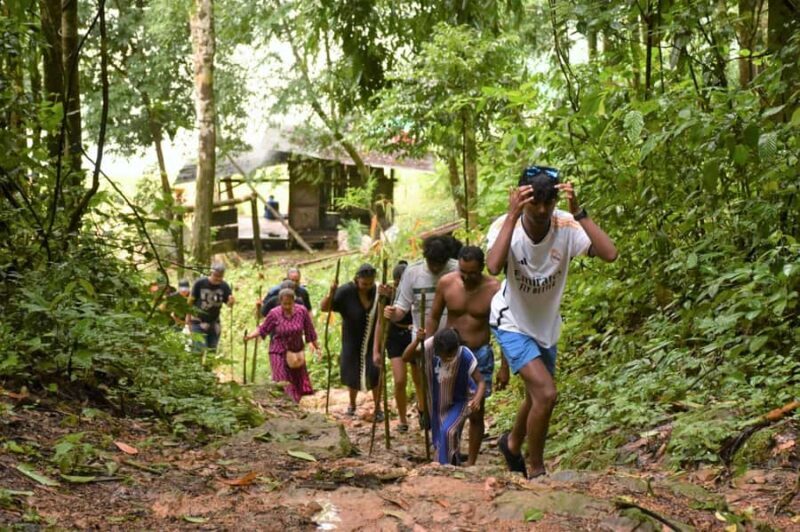 Overnight package 2Days1Night Cheowlan lake Rafthouse resort - Practical Details: Logistics and Tips