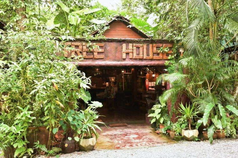 overnight-package-stay-at-treehouse-resort-with-activities