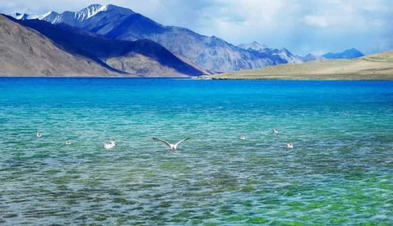 Overnight Pangong Tour From Leh With Thiksey & Shey Palace - The Full Experience: What to Expect on This Tour