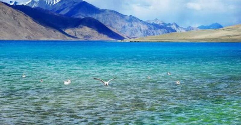 Overnight Pangong Tour From Leh With Thiksey & Shey Palace - Who Should Consider This Tour?