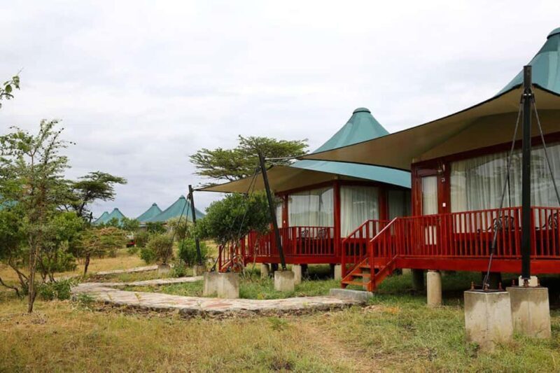 Overnight Private Safari To Masai Mara - Who is This Safari Best For?