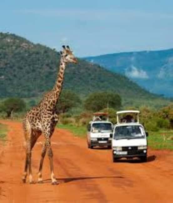 Overnight Private Safari to Severin Camp from Mombasa - What’s Included and What to Budget For