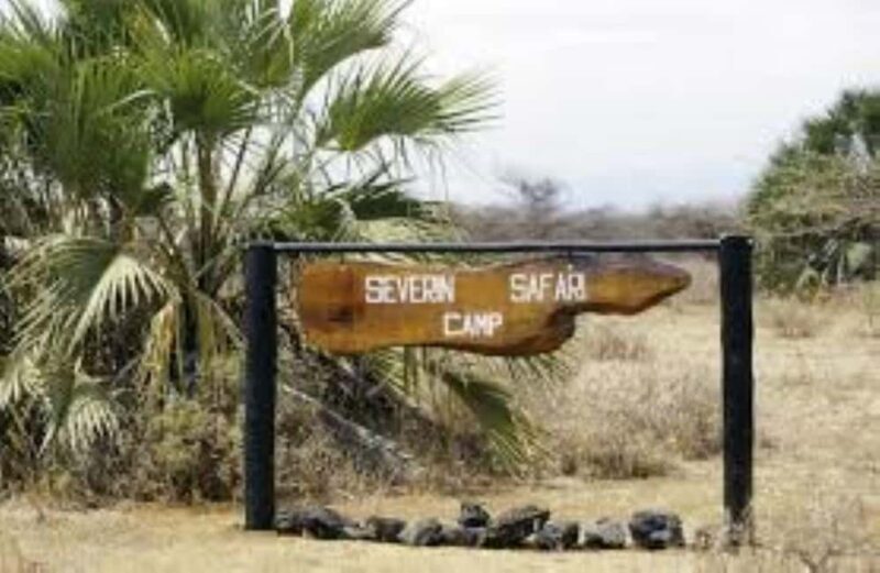 Overnight Private Safari to Severin Camp from Mombasa - Who Will Love This Safari?