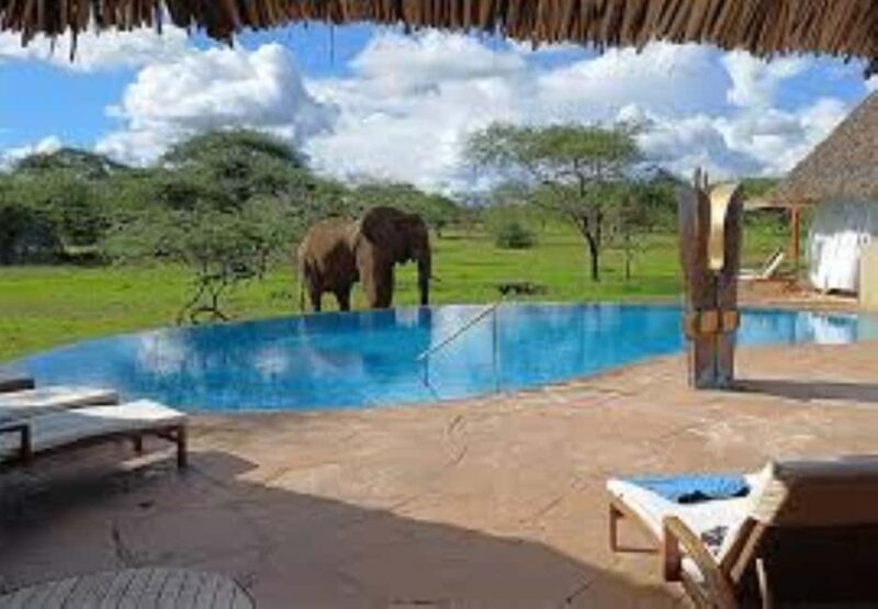 Overnight Private Safari to Severin Camp from Mombasa - The Sum Up