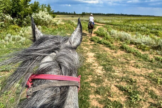 Overnight Ranch Stay and Horse Tour to Kabanbay Batyr Mausoleum - Who Will Enjoy This Tour?