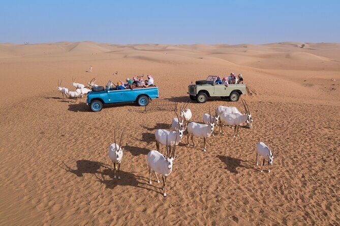Overnight Safari and Sunrise Hot-Air Balloon Ride - Who Should Consider This Tour?