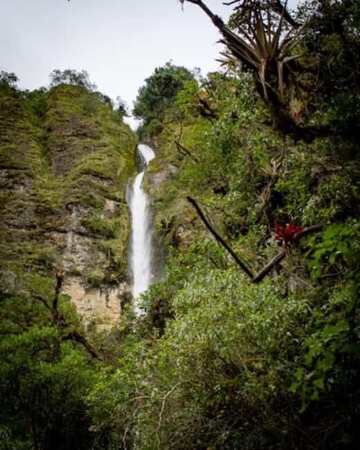 Overnight Safari to Aberdare National park from Nairobi - Getting There: The Scenic Journey Begins